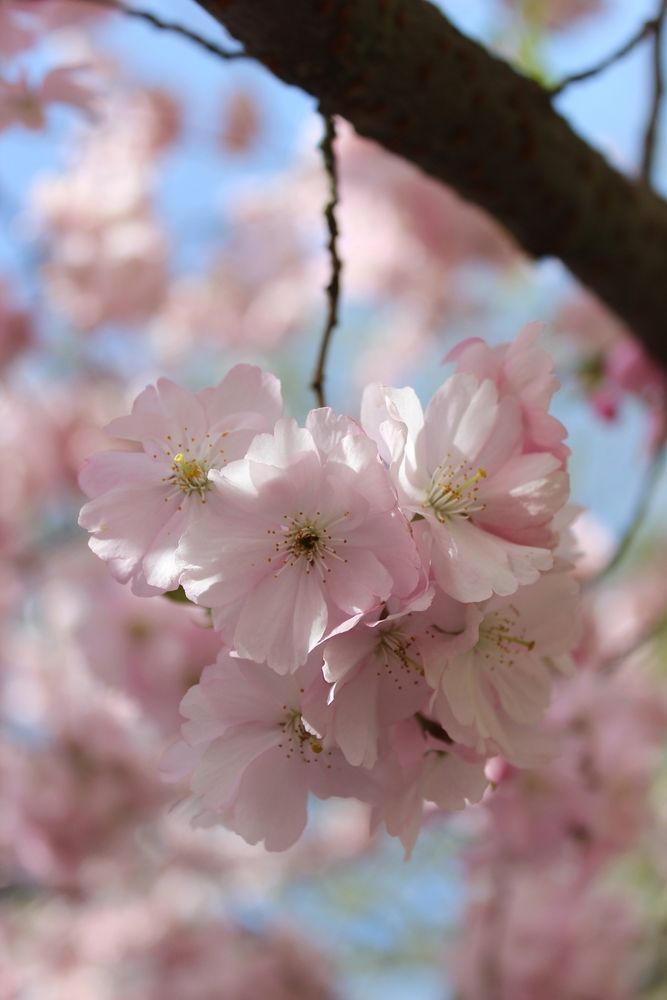 Photograph by Татьяна Сычёва