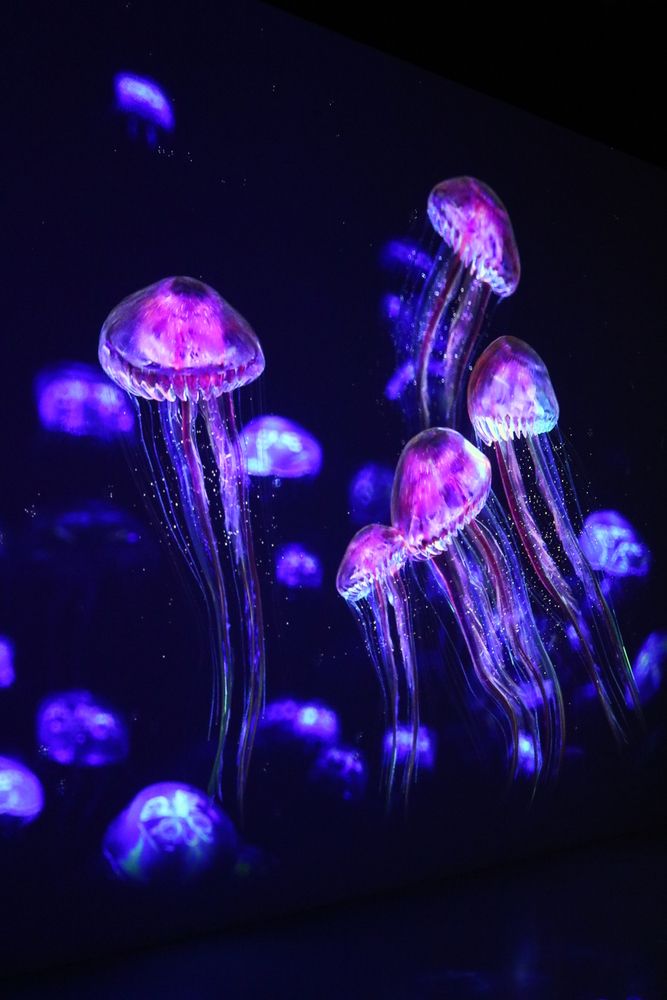 Photograph by Светлана Шуткова