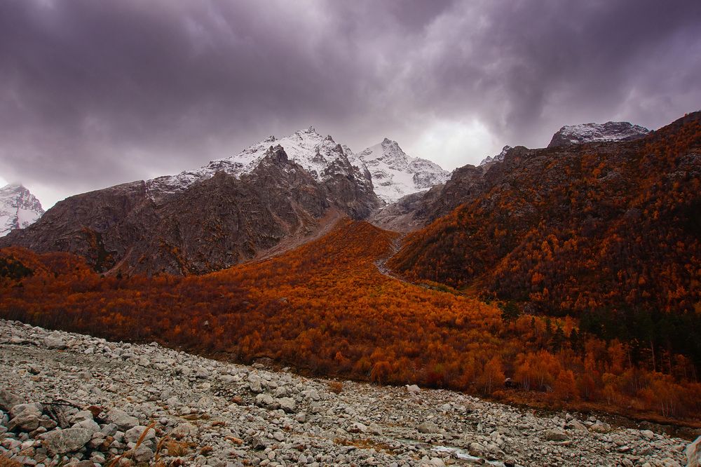 Фотография автора Вадим Карпов