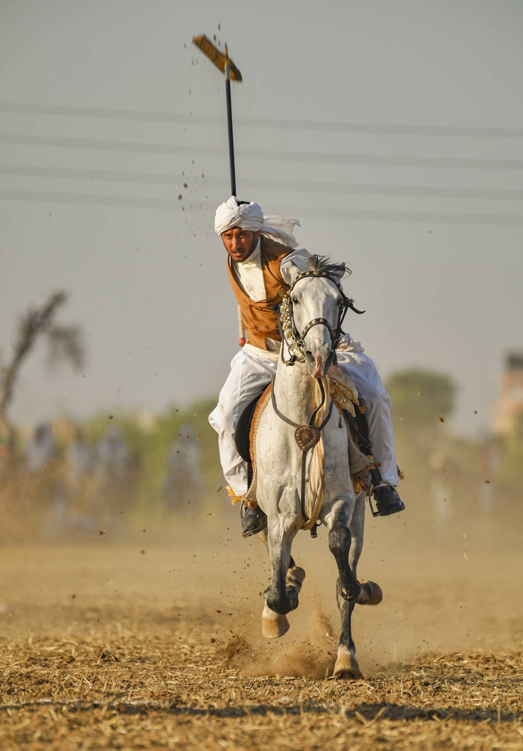 Style of tent pegger