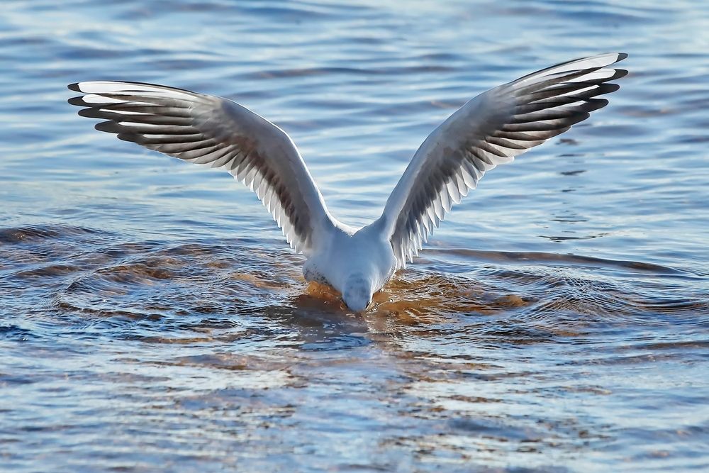 Photograph by Татьяна Бравая