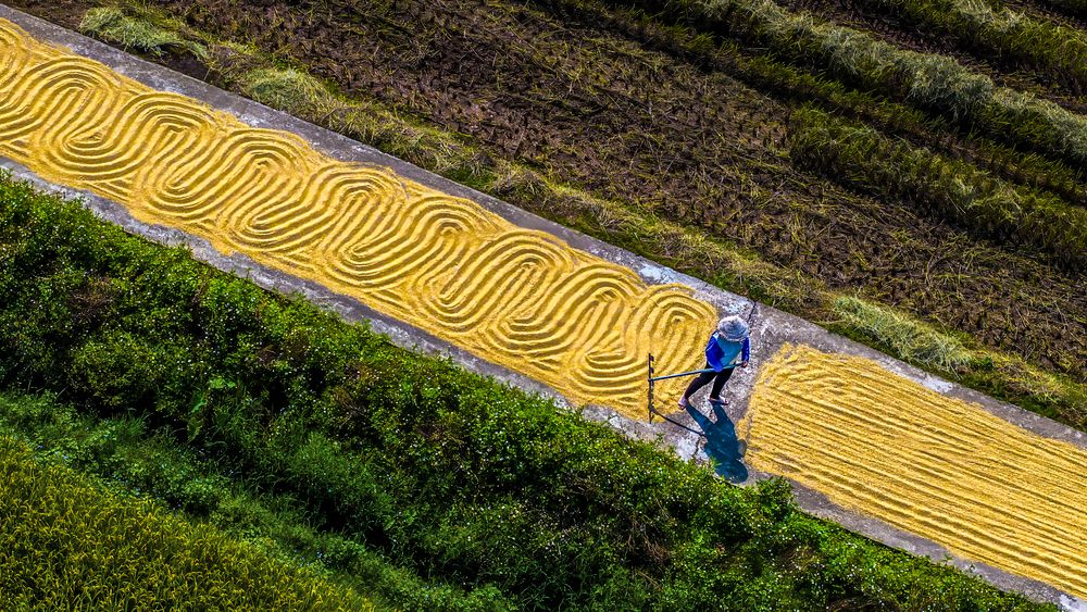 Photograph by THANH LE DUC