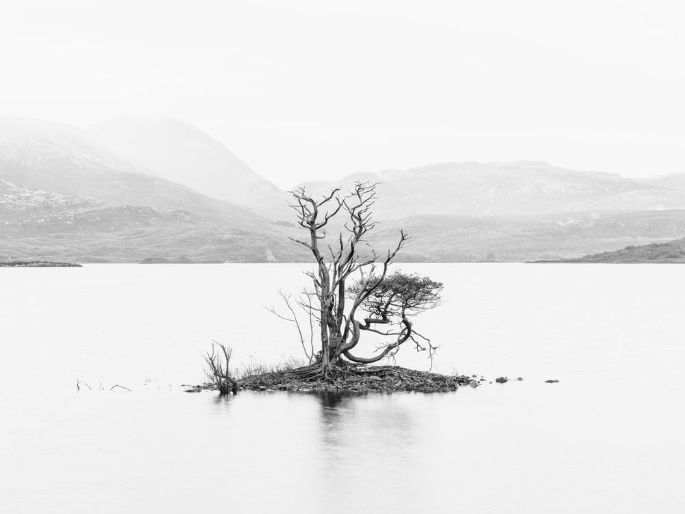 solitary
