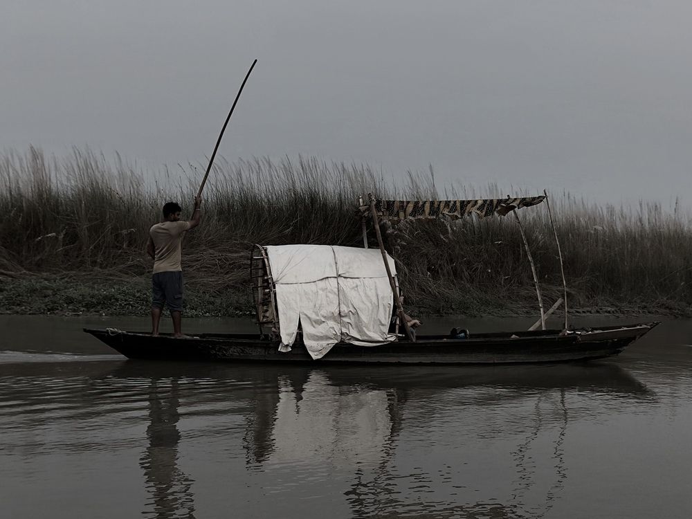 Photo #12838002