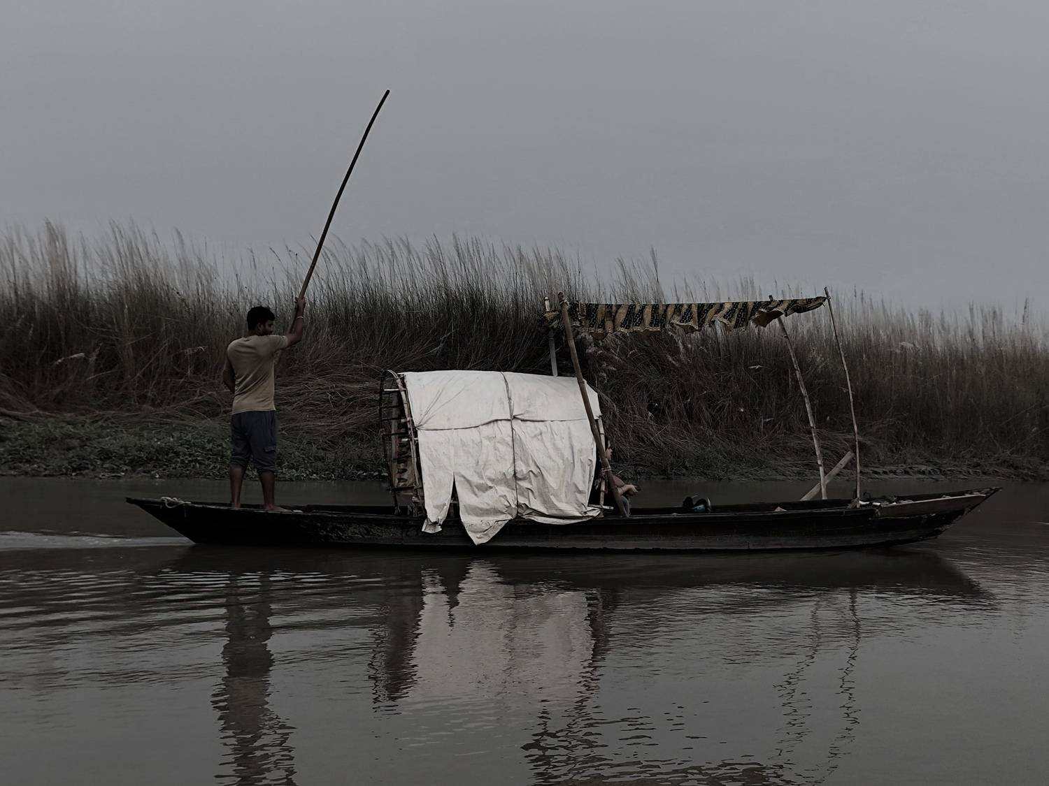 Photo #12838002