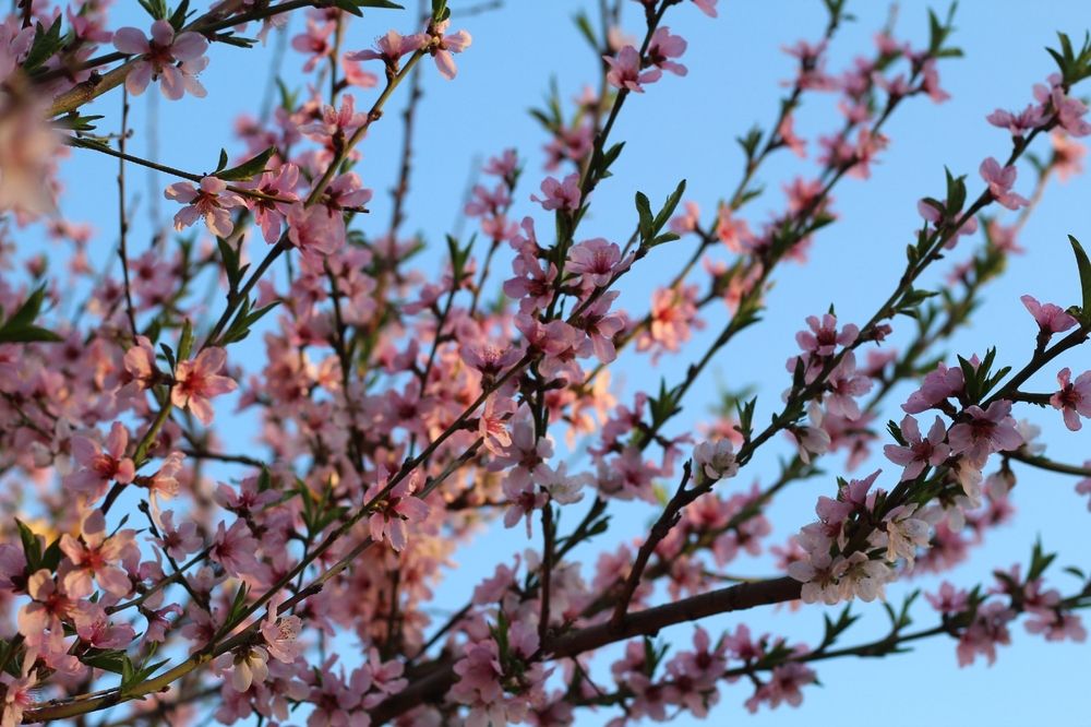 Photograph by Анна Зайченко