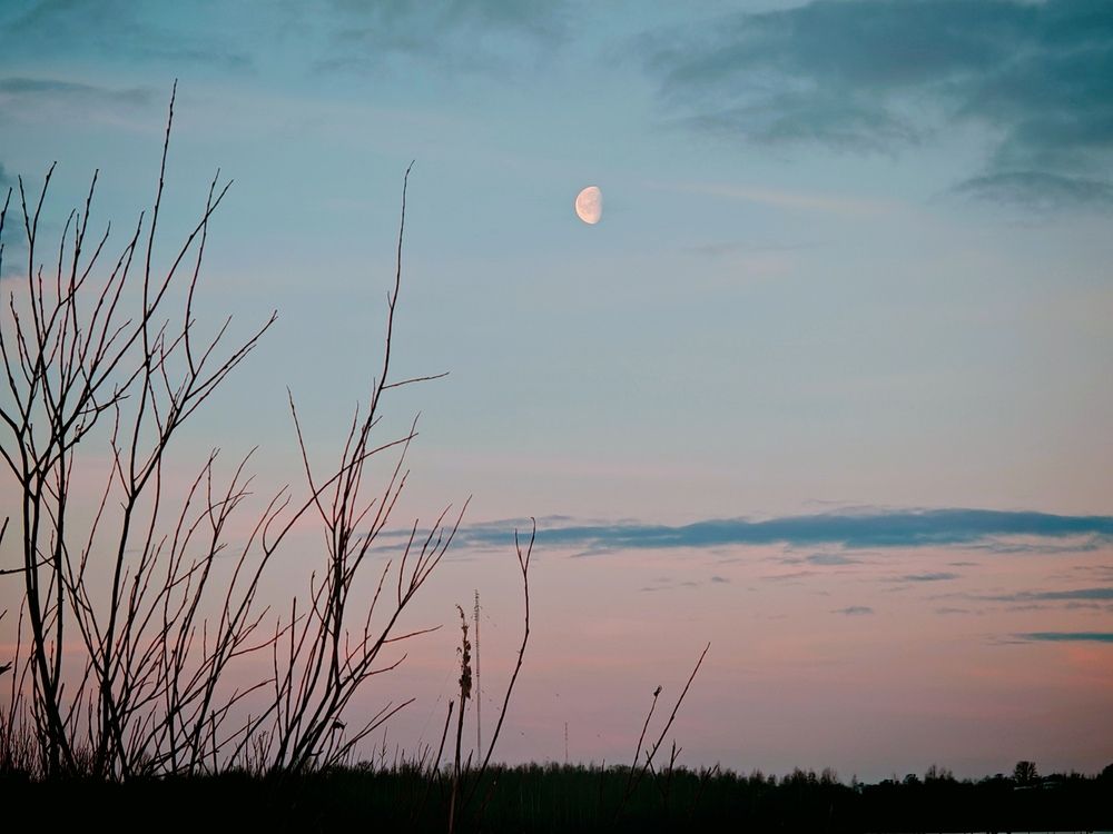 Photograph by Инна Мухина