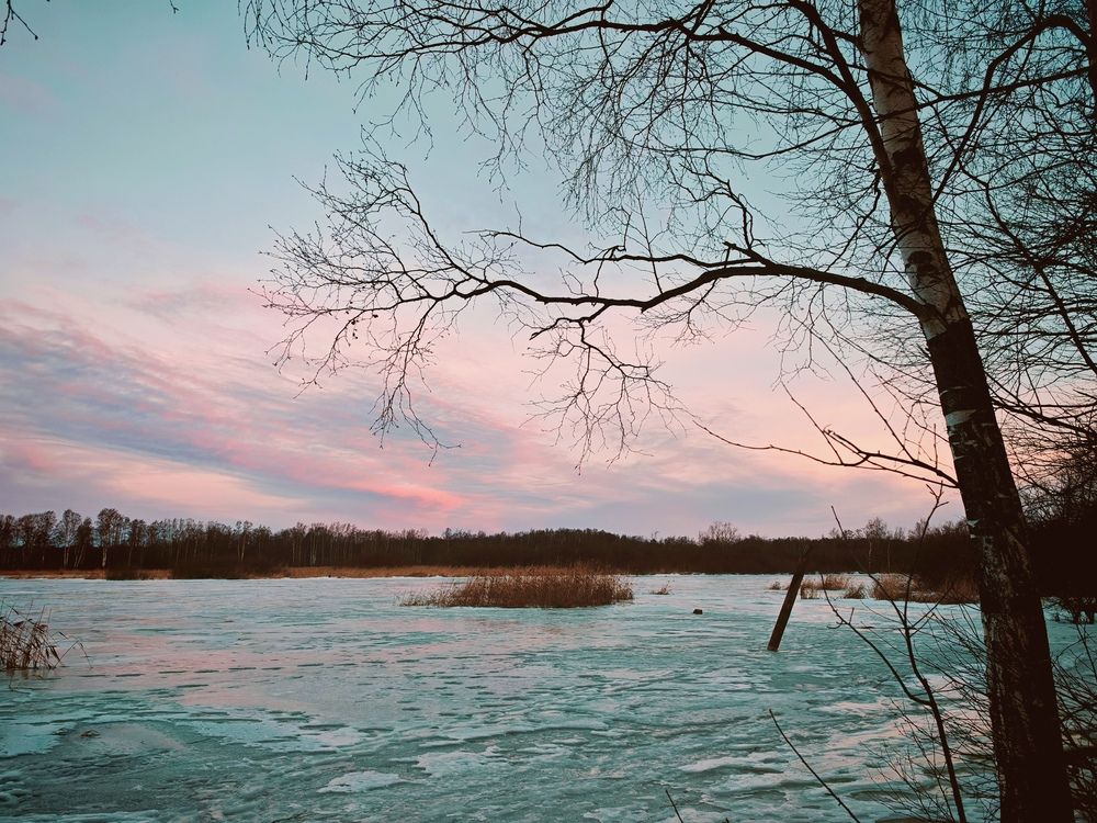 Photograph by Инна Мухина