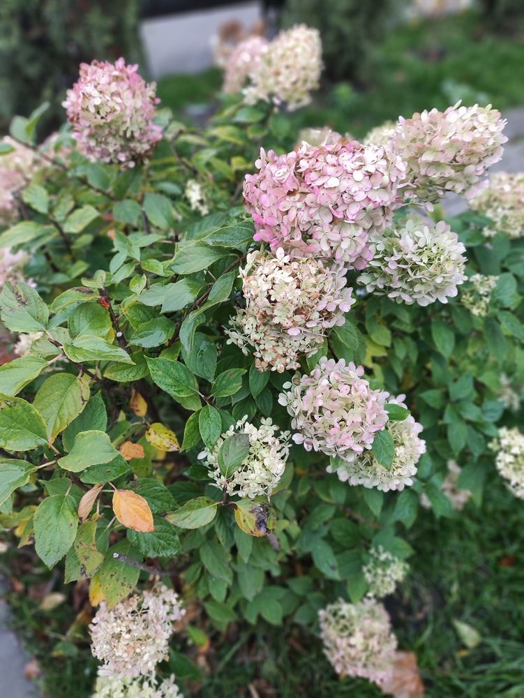 Photograph by Татьяна Пьянзина