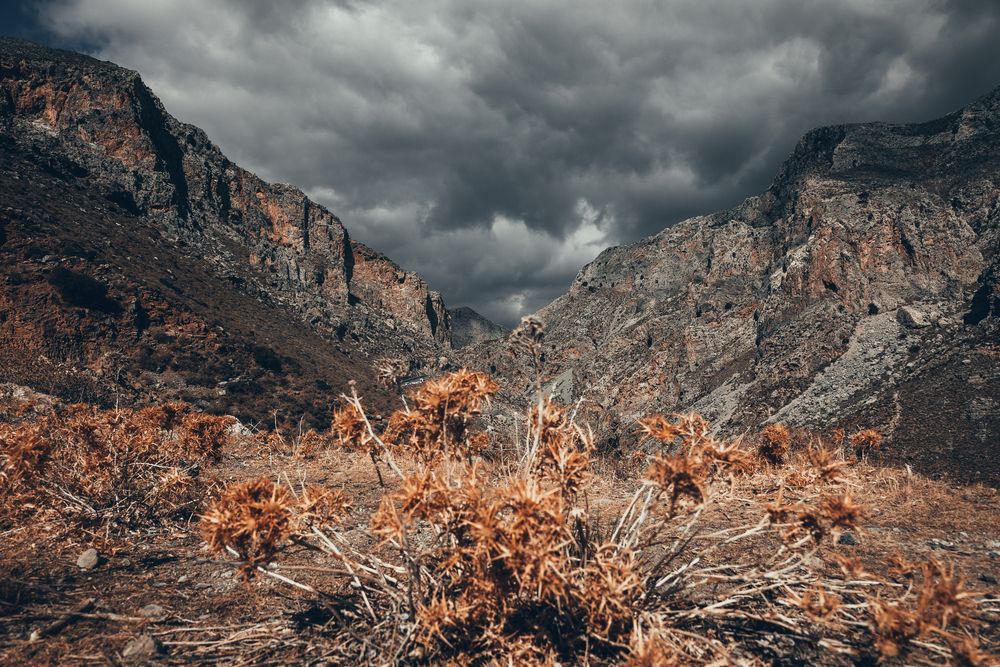 Photograph by Алексей Никитин