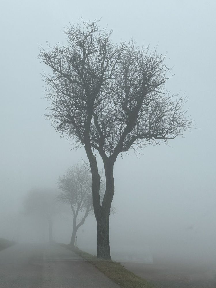 Фотография автора Tyulin Sevdim