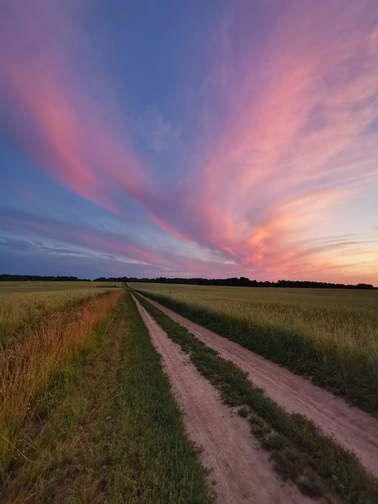 Фотография автора Андрей Шестаков
