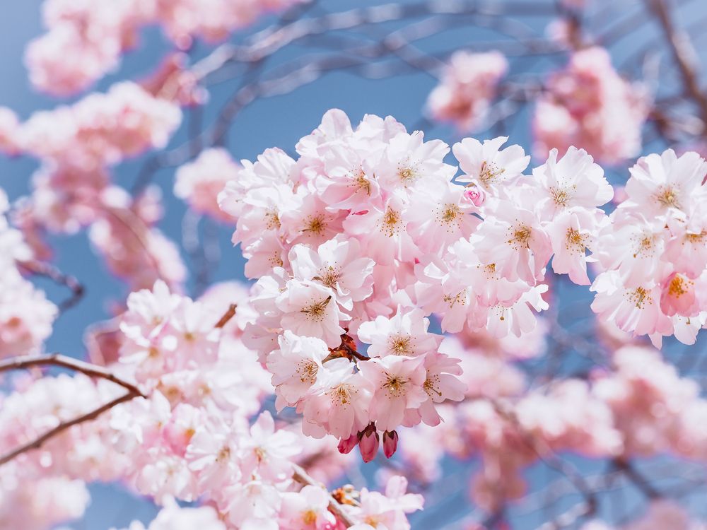 Photograph by Александра Шилова