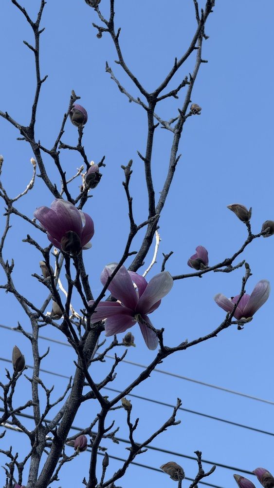 Photograph by Елена Гущина