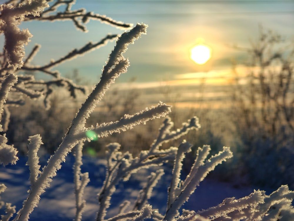 Photograph by Нина Кольман