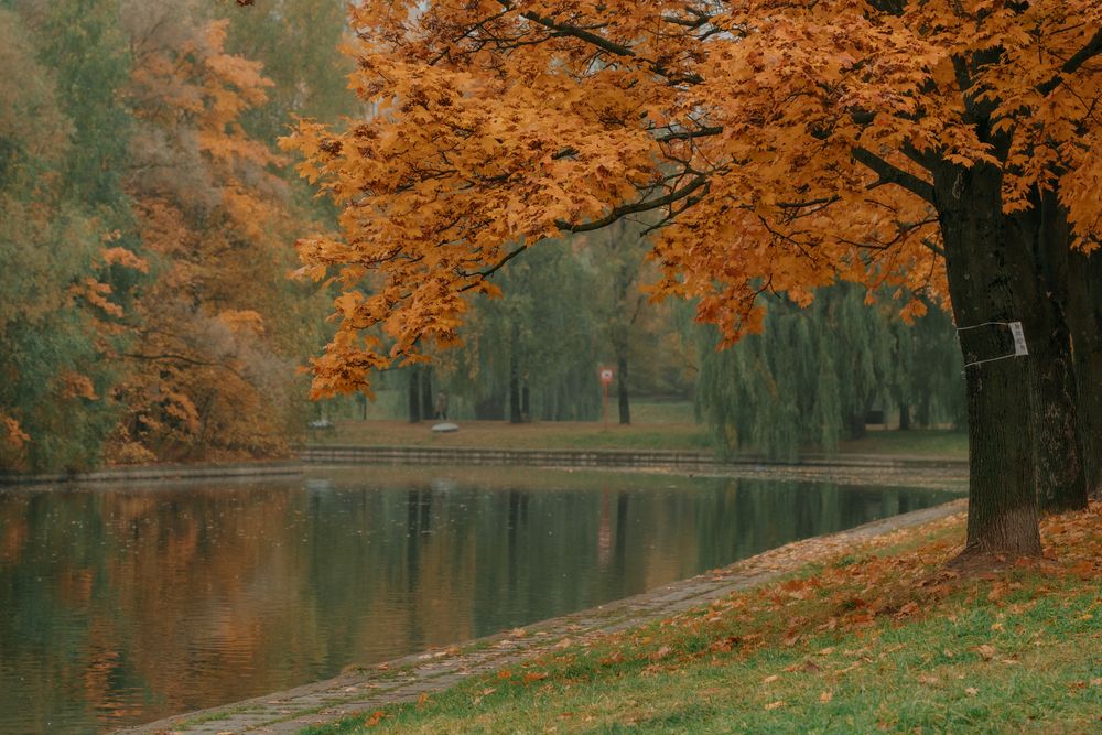 Фотография автора Дарья Чистякова