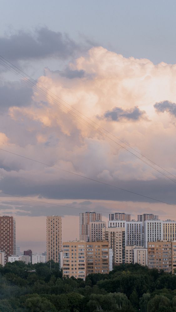 Фотография автора Дарья Чистякова