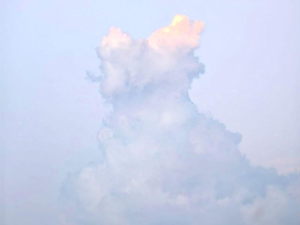 Photograph by OLGA MIKHNEVICH