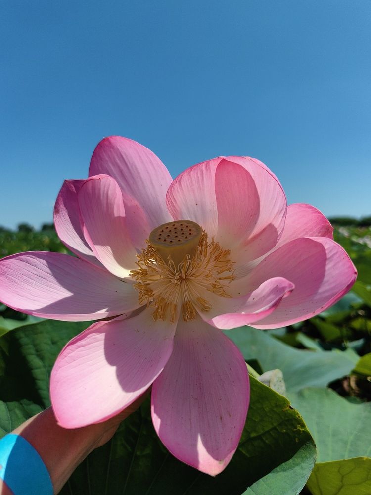 Photograph by OLGA MIKHNEVICH