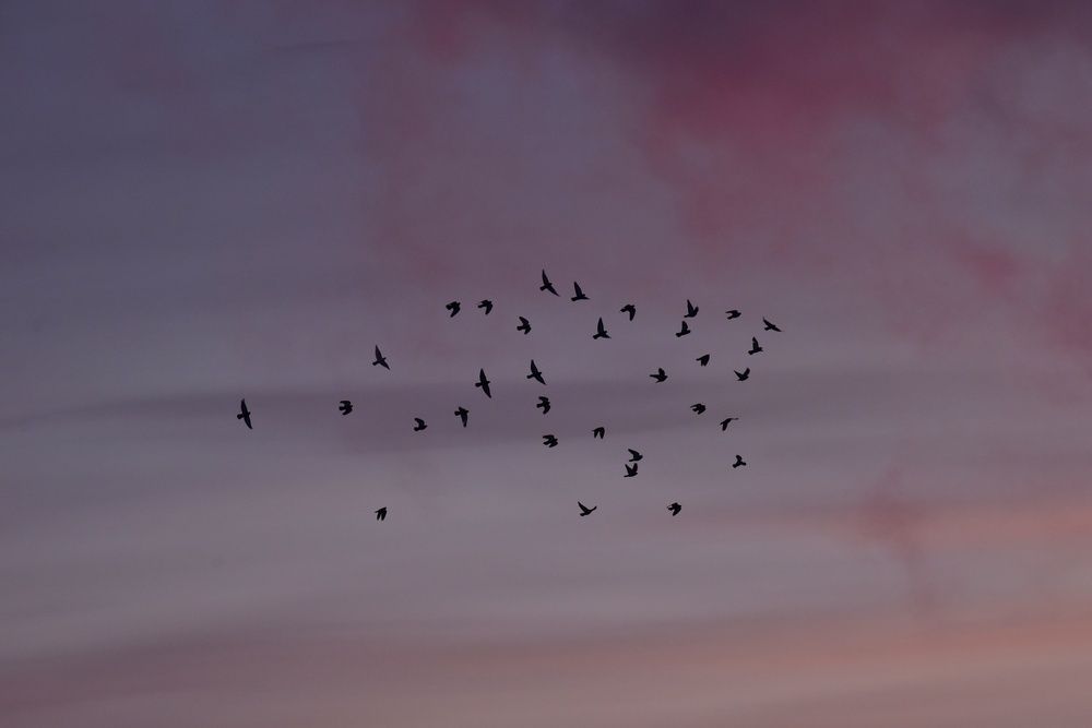 Photograph by Нина Кольман