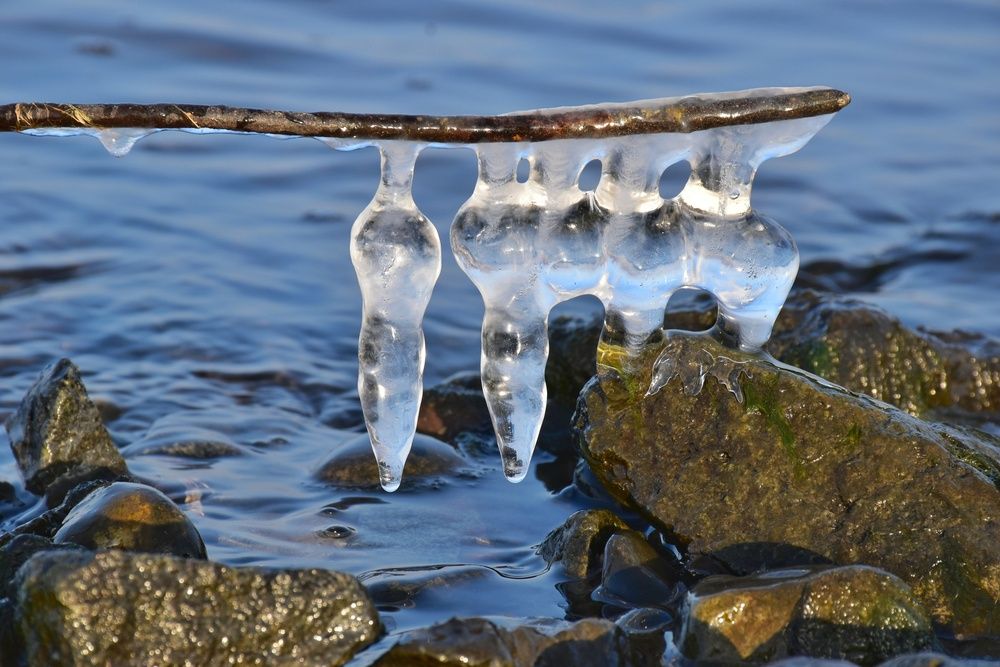 Photograph by Нина Кольман