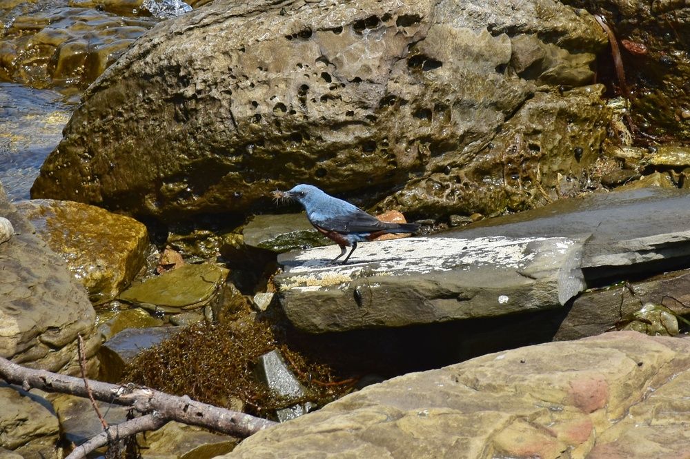 Photograph by Нина Кольман