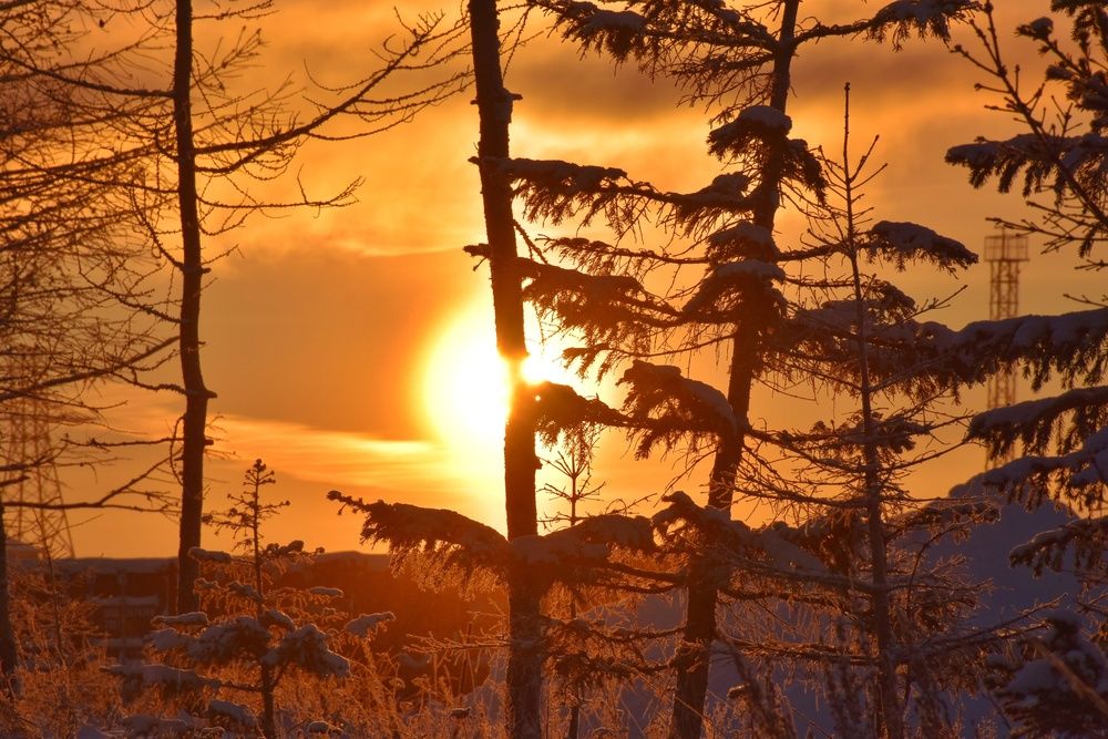 Photograph by Нина Кольман