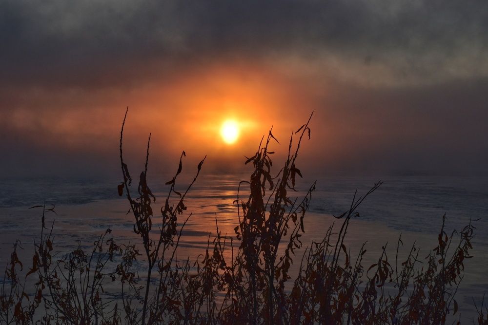 Photograph by Нина Кольман