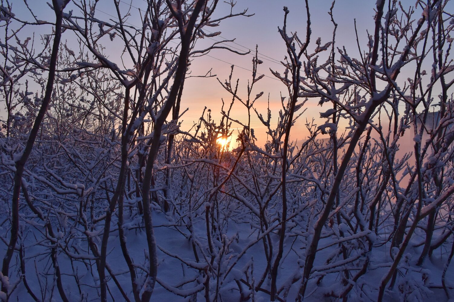 Photo #12838349