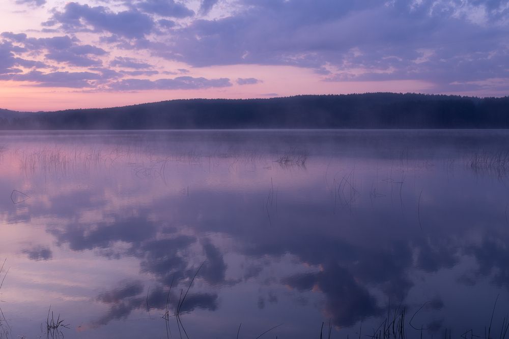 Photograph by Бирюкова Татьяна