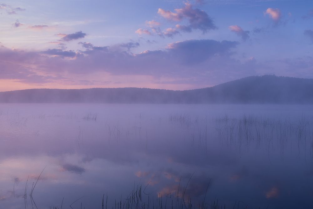 Photograph by Бирюкова Татьяна