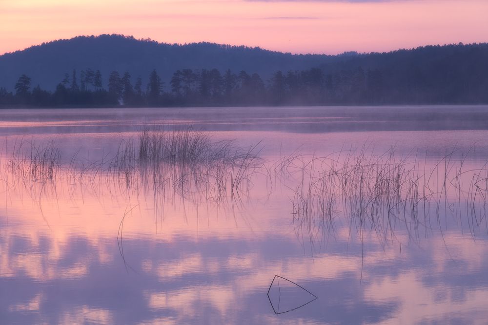 Photograph by Бирюкова Татьяна