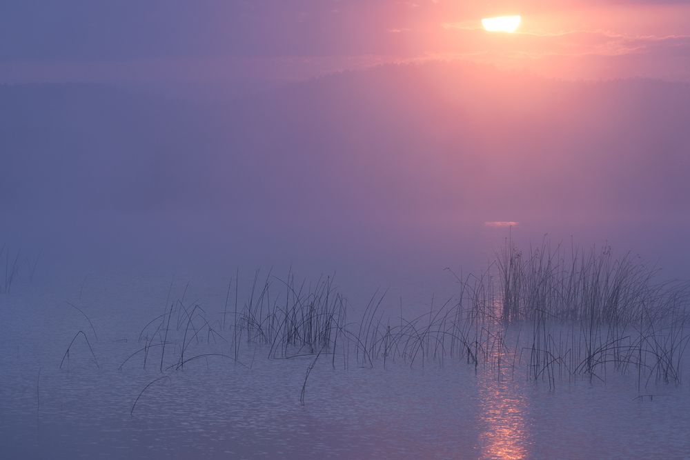 Photograph by Бирюкова Татьяна