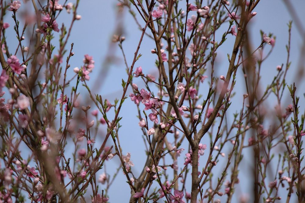 Photograph by Ирина Дмитриенко