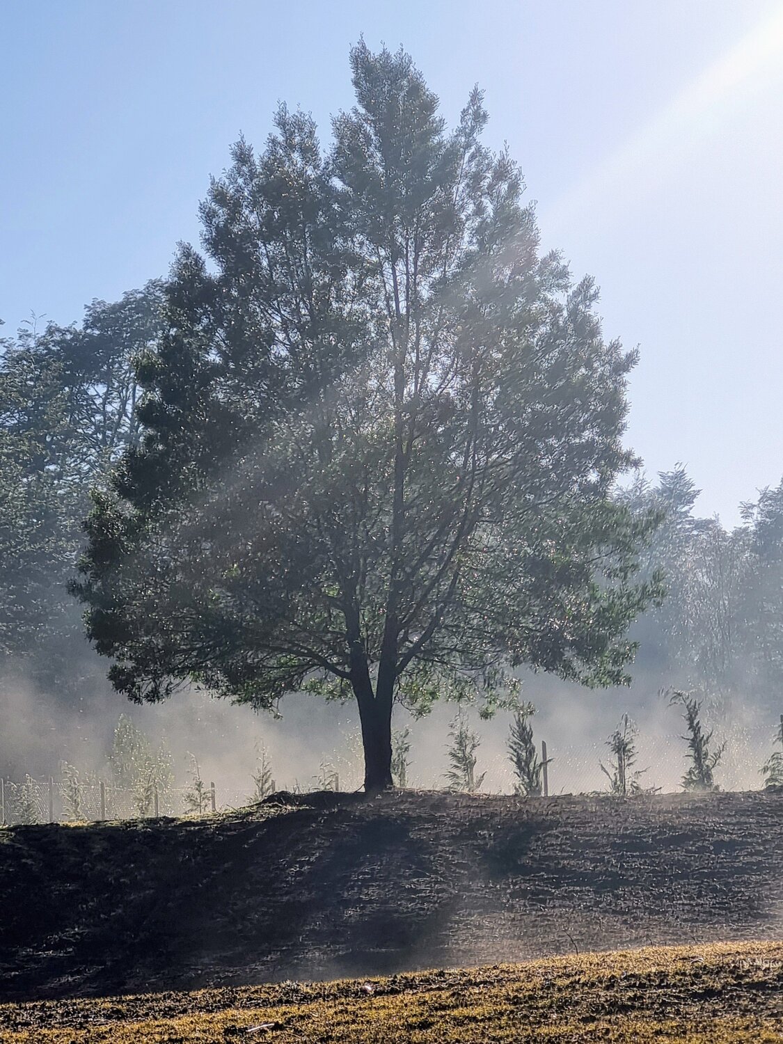 Photo #12838412