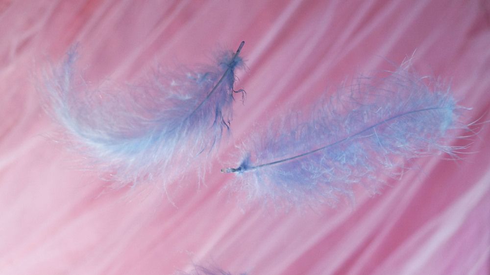 Photograph by Юлия Урюпина