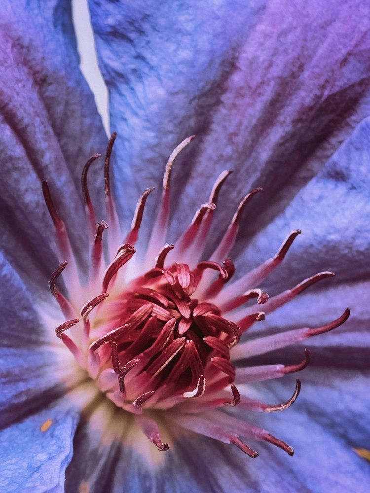 Photograph by Татьяна Соколовская