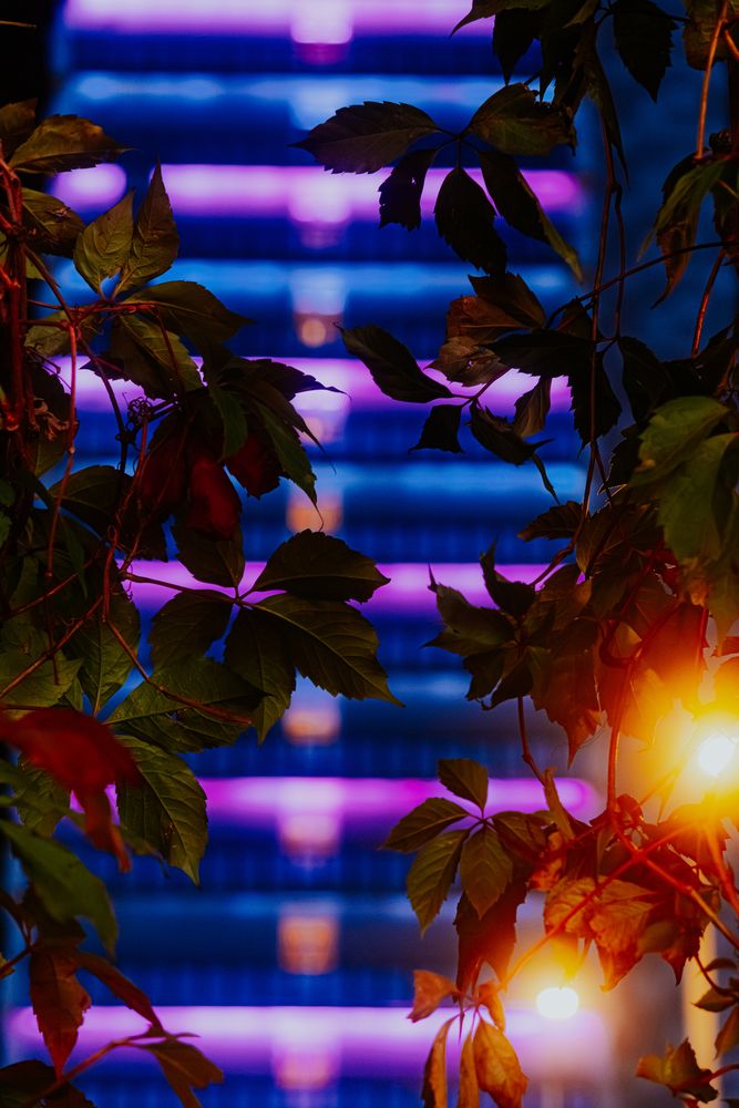 Photograph by Арсений Крят