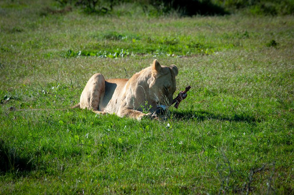 Photograph by Дмитрий Плотников