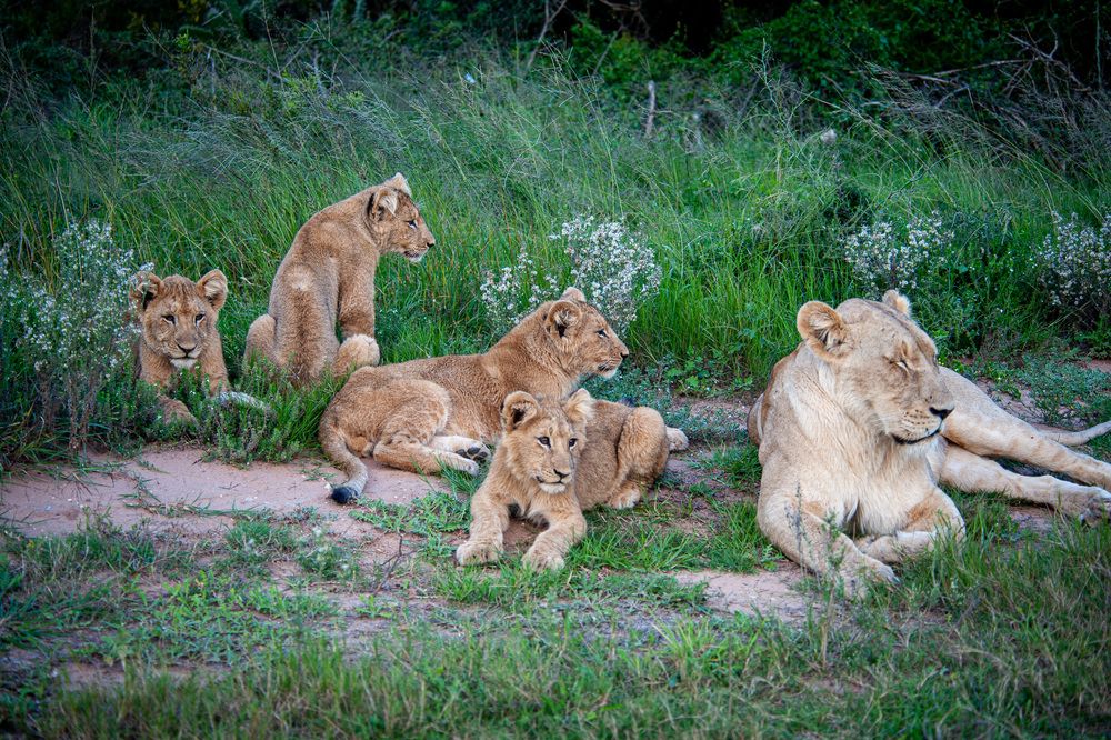 Photograph by Дмитрий Плотников