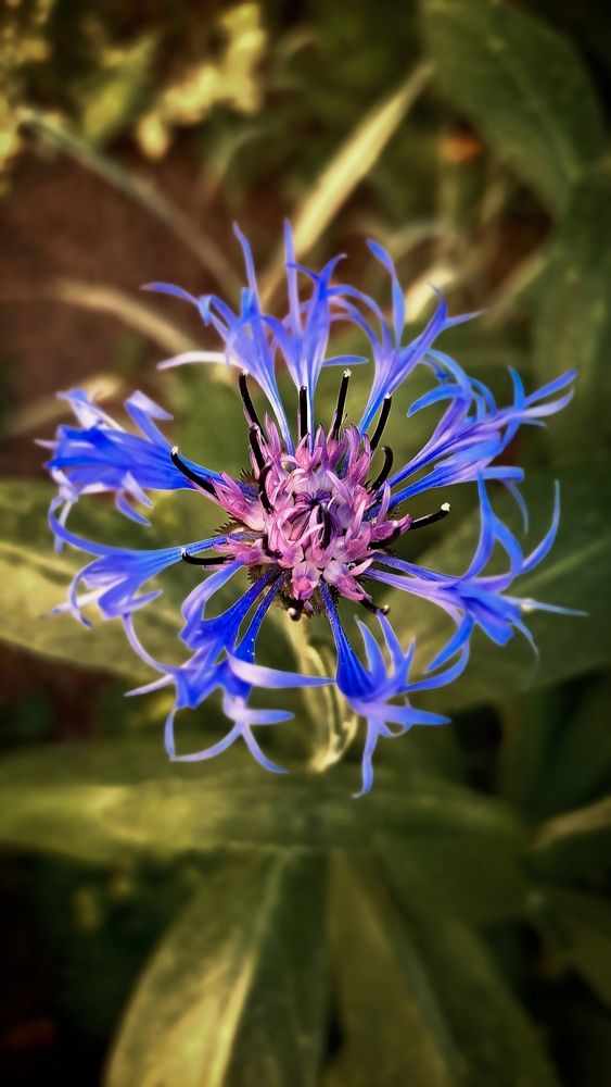 Photograph by Алена Самошина