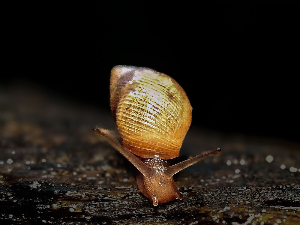 Photograph by Kalgi Zaveri