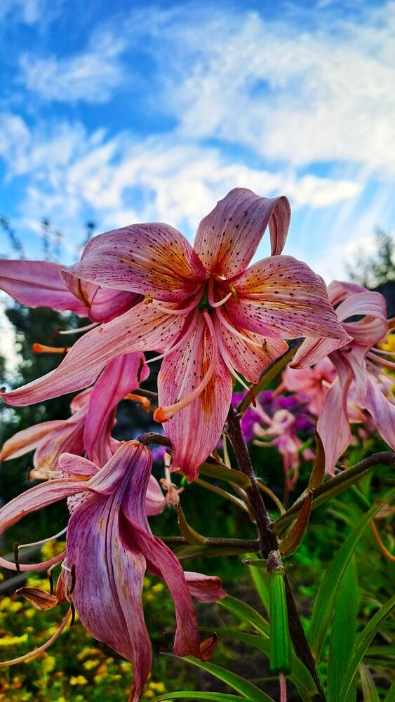 Photograph by Николай Худяков