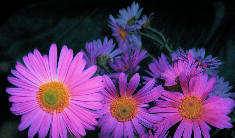 Фотография автора Наталья Драгун