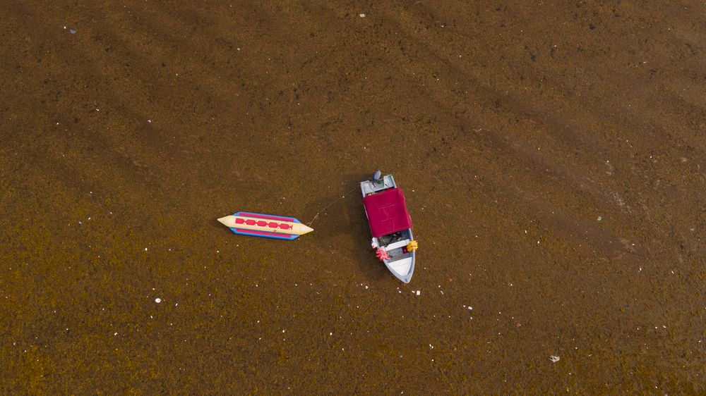 Photograph by Eddy Vittini