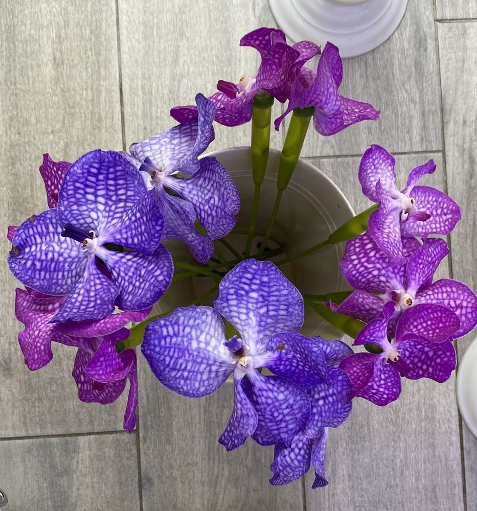 Странный букет