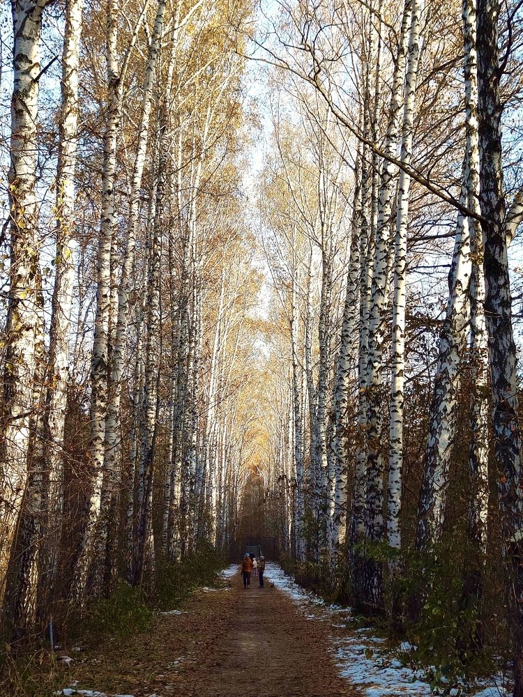 Photograph by Наталья Адалинская