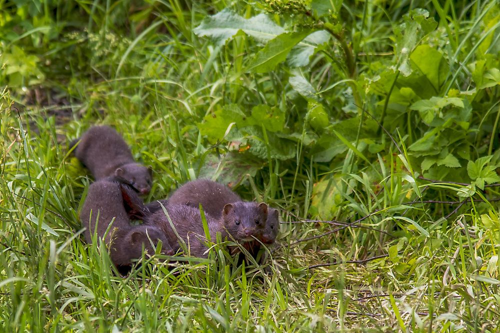 Photograph by Андрей К. Белов