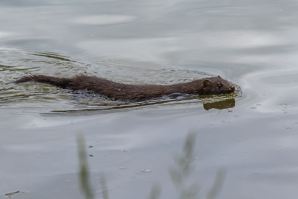 Photograph by Андрей К. Белов