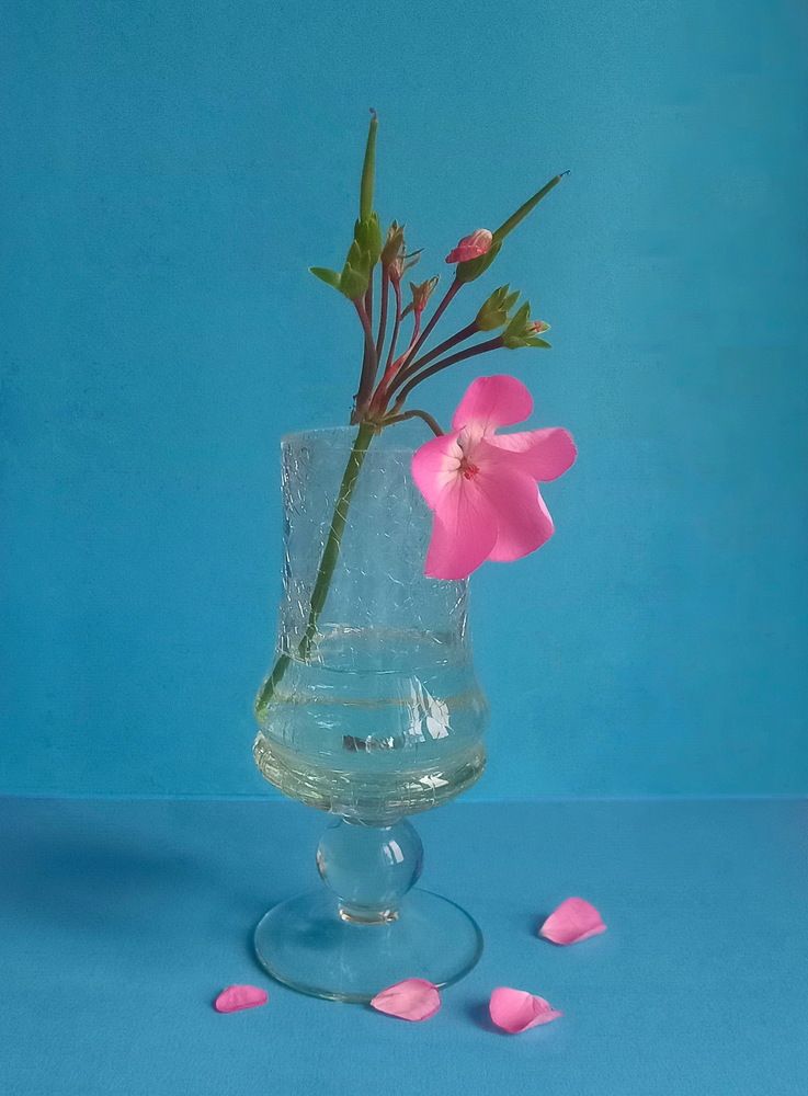 Photograph by Нина